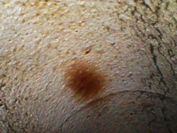 Photo_2026-02-15 17_56_49_572.JPG