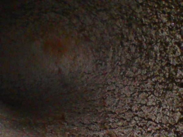 Photo_2026-02-15 17_55_38_146.JPG