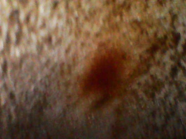 Photo_2026-02-15 17_57_39_065.JPG